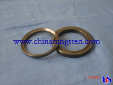 tungsten-carbide-seals-03